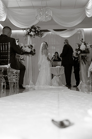 Eleanor-Wilson_Wed-0381