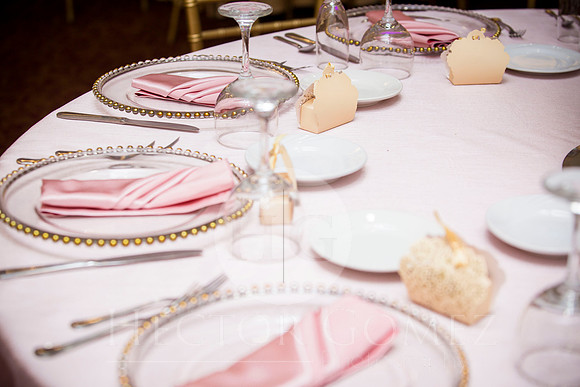 Cathiana_Ricardo_Wed_0253