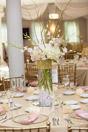Cathiana_Ricardo_Wed_0257