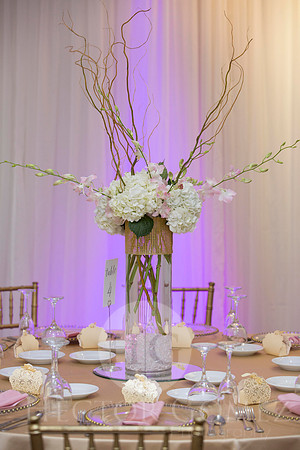 Cathiana_Ricardo_Wed_0258