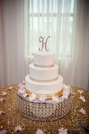Cathiana_Ricardo_Wed_0280