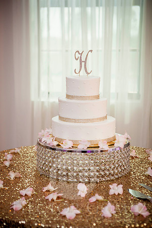 Cathiana_Ricardo_Wed_0281