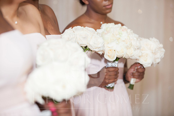 Cathiana_Ricardo_Wed_0410
