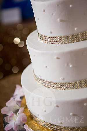 Cathiana_Ricardo_Wed_0795