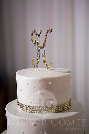 Cathiana_Ricardo_Wed_0799