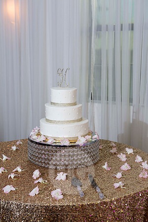 Cathiana_Ricardo_Wed_0833