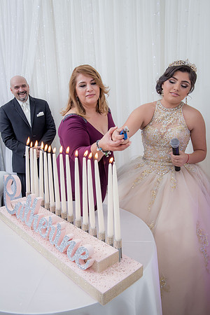Catherine Quince Prty_454