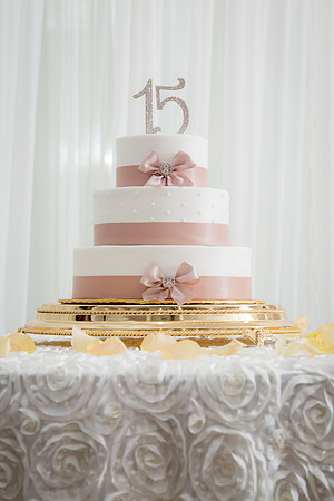 Catherine Quince Prty_067
