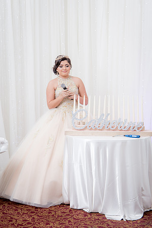 Catherine Quince Prty_393