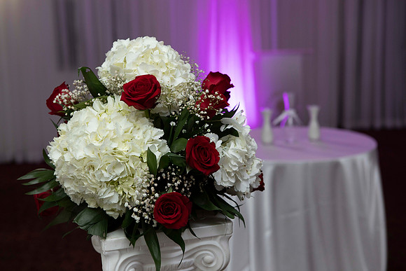 Bernarde and Luger Wed-158