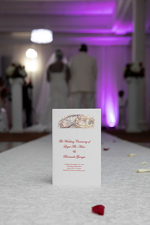 Bernarde and Luger Wed-318