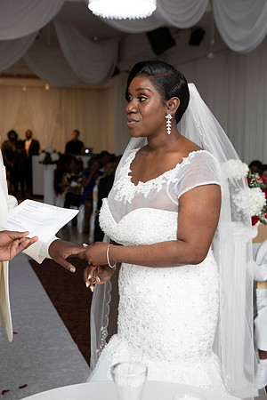 Bernarde and Luger Wed-364