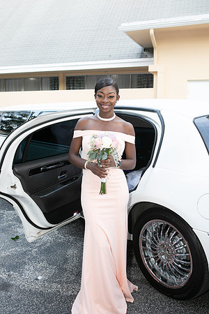 Tamara-Kesnel wed-0059